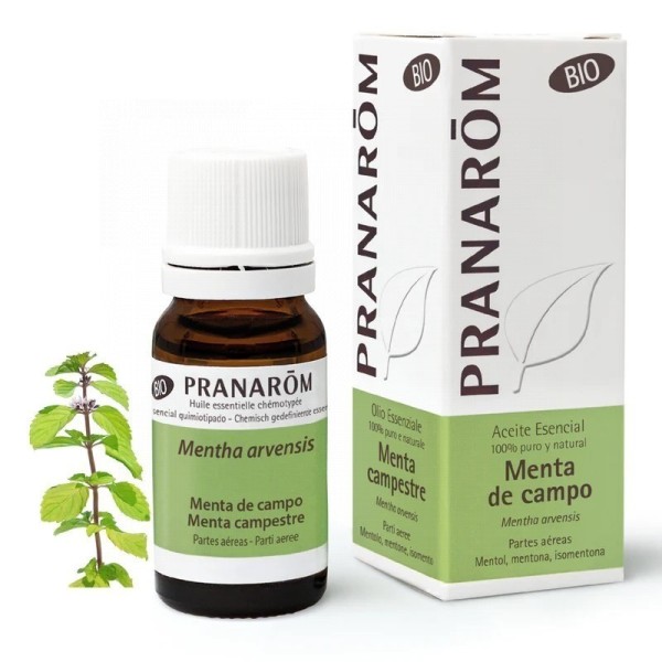 Pranarom Bio Aceite Esencial Menta de Campo 10ml