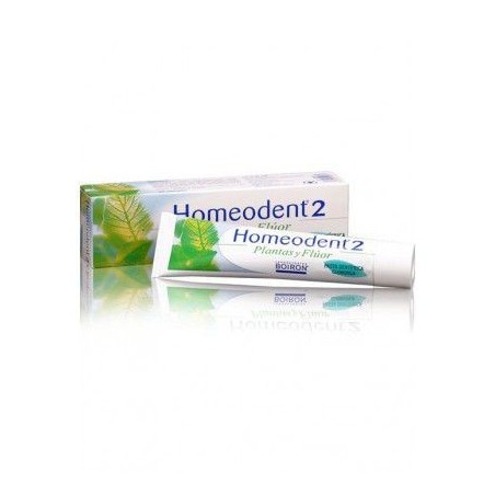 Homeodent 2 Pasta Dental Clorofila 75ml